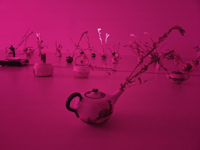 니키타 게일 작 '99개의 꿈'