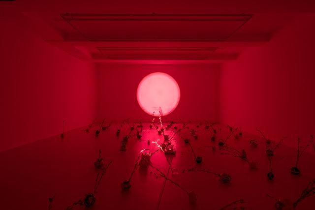 니키타 게일 작 '99개의 꿈'