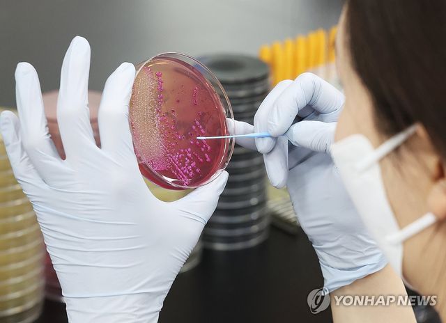 식중독균 배양분리작업