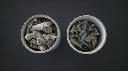 2005년 3월 발굴한 고(故) 양이한 일병의 유해