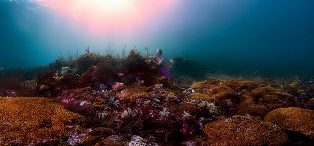 배효정 작가 수중 퍼포먼스 영상 작품 'BIYANG_비양'