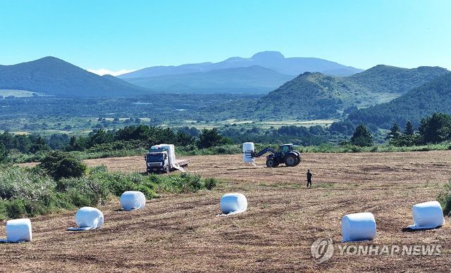 가을 제주 중산간 풍경