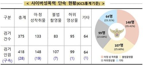 사이버 성폭력 단속 현황