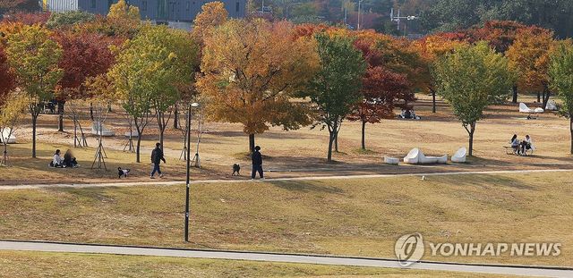 가을 단풍 아래서