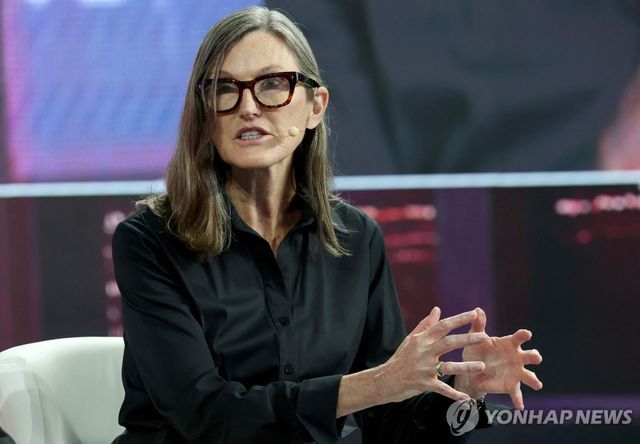 캐시 우드 아크인베스트먼트 최고경영자(CEO)