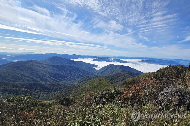 구름 낀 노고단