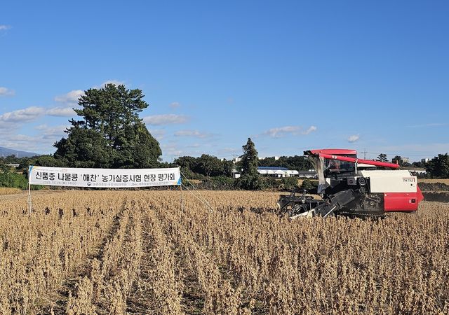 신품종 나물콩 '해찬' 농가실증시험 현장 평가회