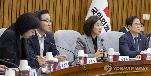 지방선거 총괄기획단 회의에서 발언하는 나경원 단장