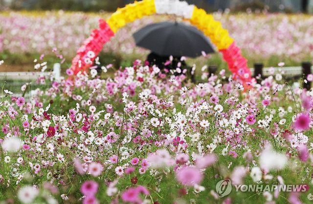 가을비 내리는 풍경