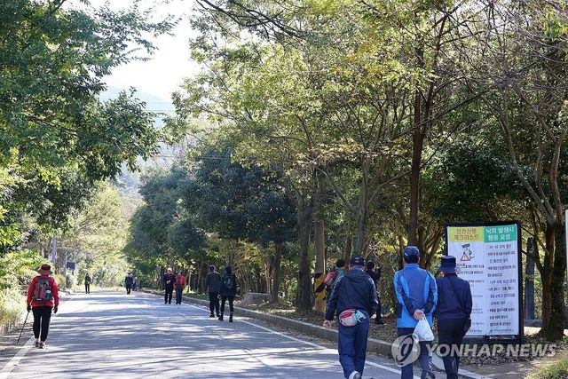 '지각 단풍'에 초록빛 무등산