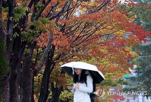 비 내리는 거리