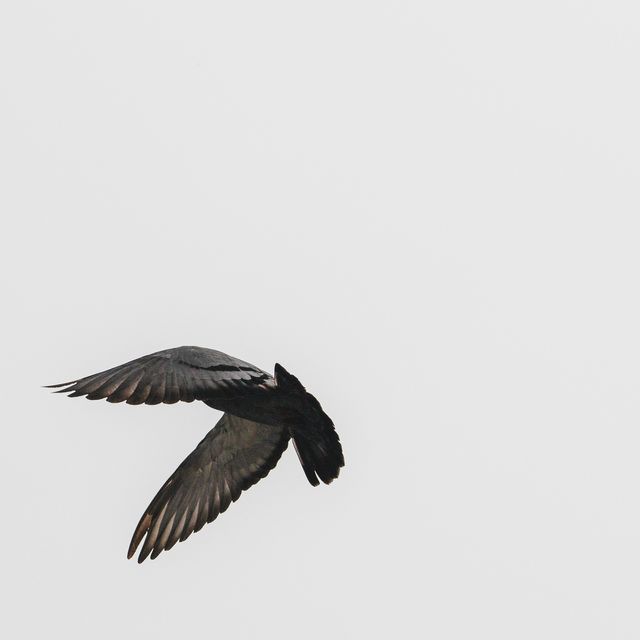 루시드폴 정규앨범 '또 다른 곳'