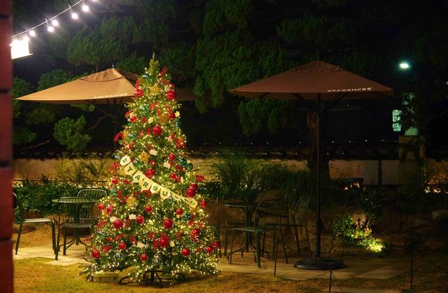 스타벅스 장충라운지R점에 설치된 대형 트리