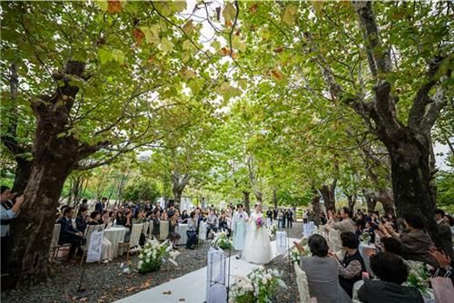 부산시민공원에서 진행된 결혼식