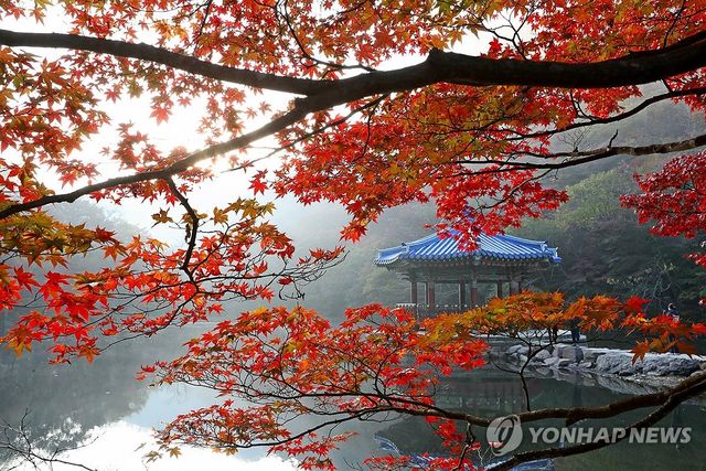 단풍에 물든 내장산