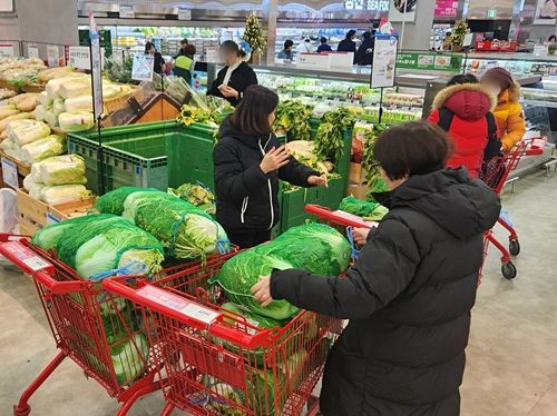 배추를 살펴보는 소비자들