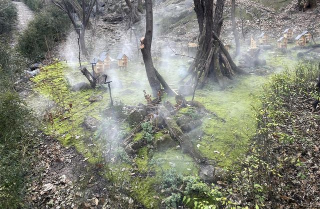 서대문구 안산 쉬나무 쉼터 일대 '이끼숲' 