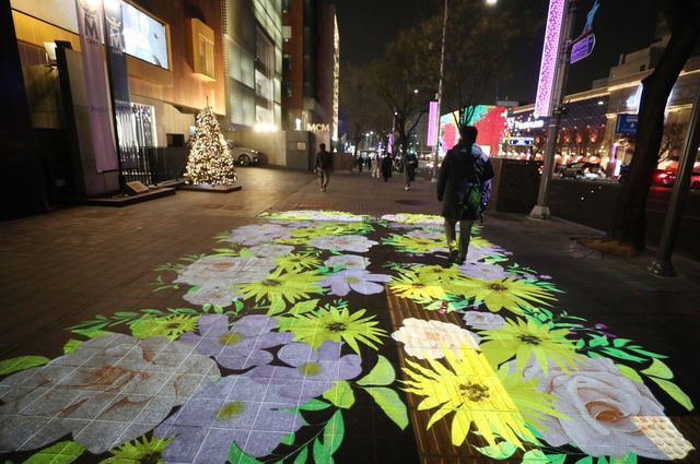 청담동 빛의 거리