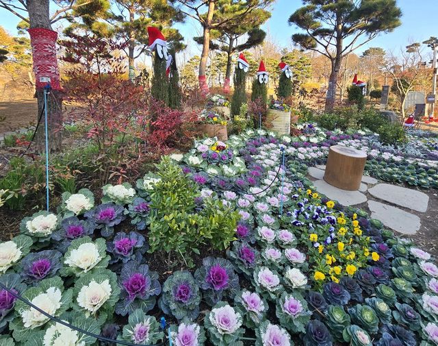 새로 심은 내한성 꽃