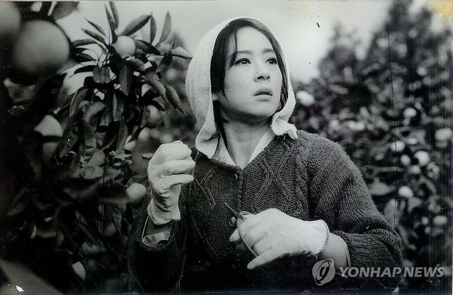 한국 영화사 쓴 김지미 별세…향년 85세