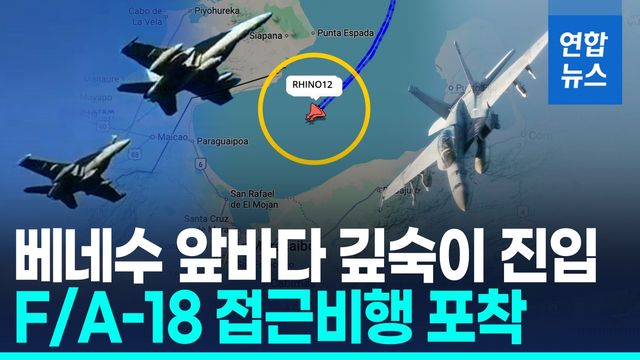 [영상] "마두로의 날 얼마 안 남았다"…美전투기 2대, 베네수 접근 비행 - 2