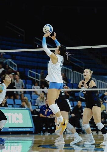 대학 선수 시절 토스하는 오드리 박