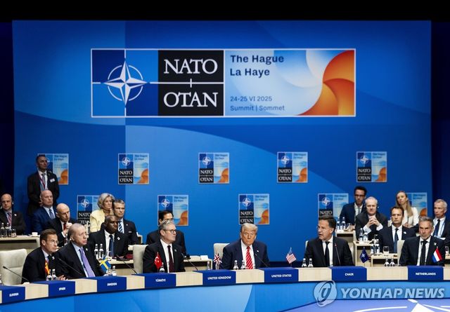 지난 6월 네덜란드 헤이그에서 열린 나토 정상회의