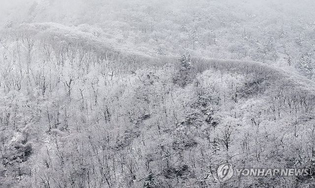 겨울옷 입은 백두대간