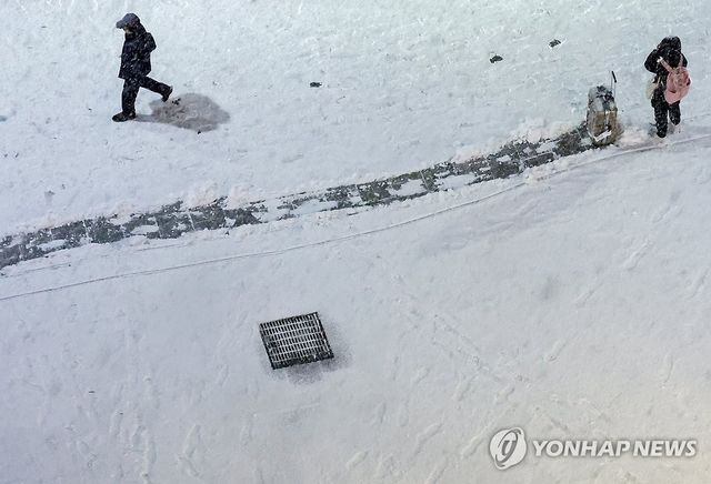 눈 위에 남겨진 고난의 흔적