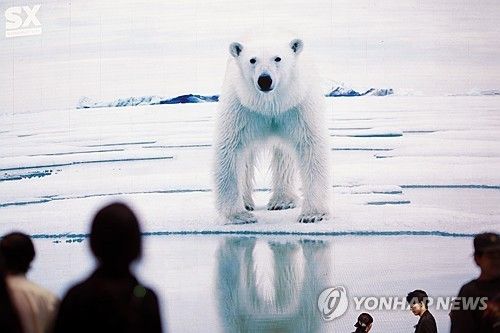멸종위기 북극곰