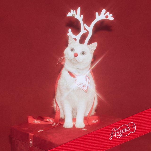 프로미스나인 '하얀 그리움'