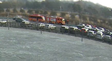 사슴 포획 위해 출동한 소방당국