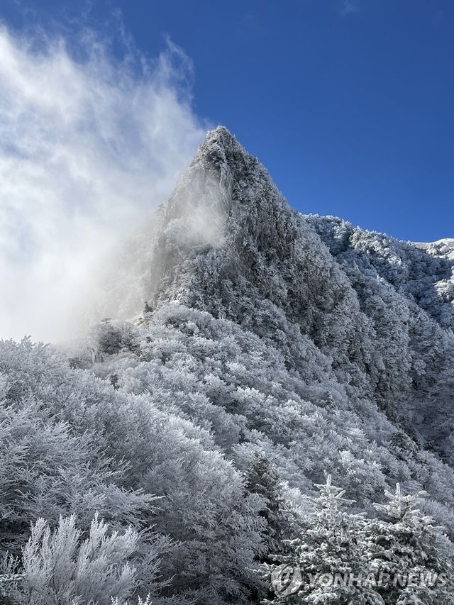 쾌청한 하늘 아래 눈 쌓인 한라산