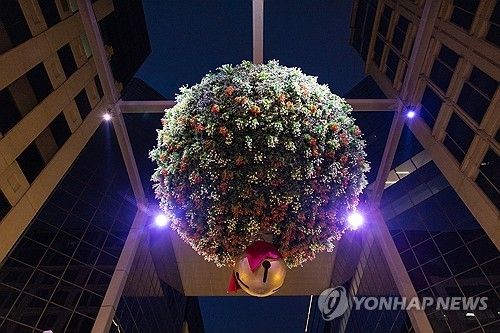 내셔널 겨우살이