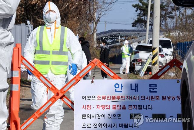 [연합뉴스 자료사진]