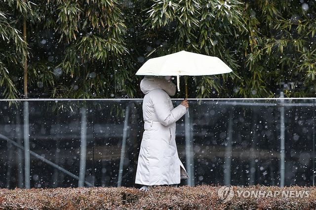 겨울에 나타난 우산
