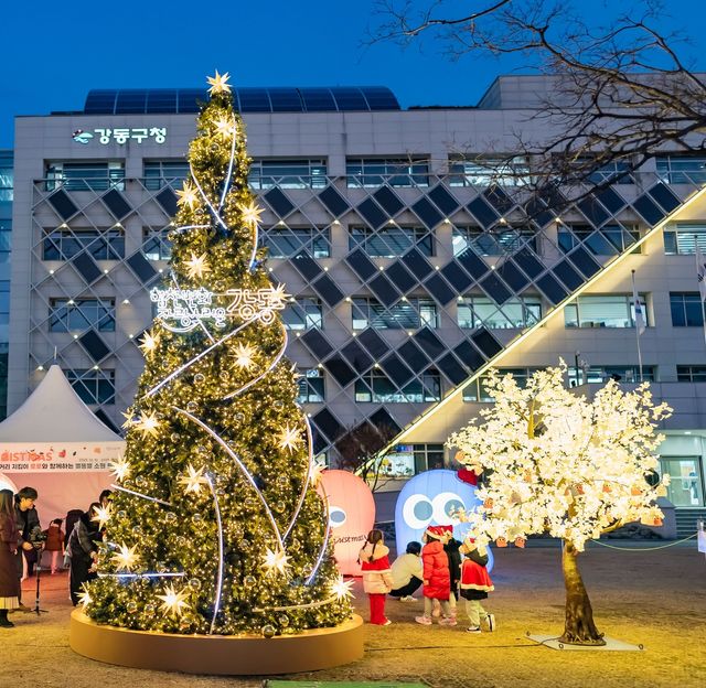 구청 앞 열린뜰 광장 크리스마스 트리