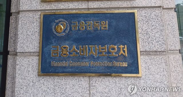 금융감독원 금융소비자보호처