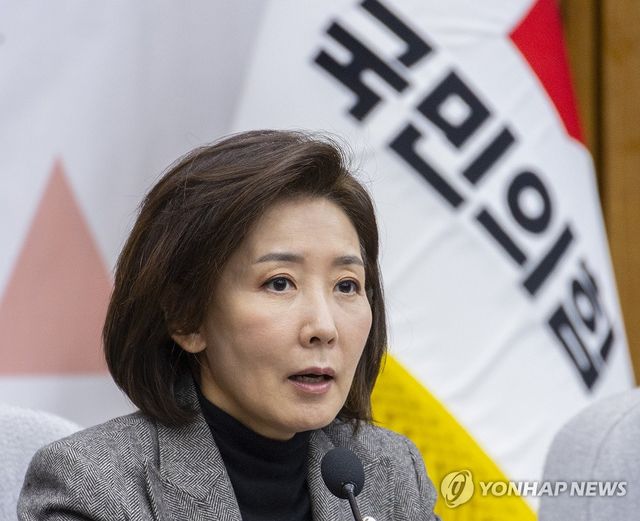 국민의힘 나경원 의원