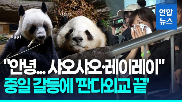 [영상] '마지막 판다' 떠난다…일본 팬들 '눈물의 작별' - 2