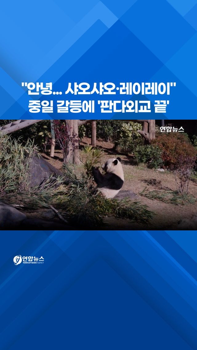 [쇼츠] "안녕, 샤오샤오·레이레이"…중일 갈등에 '판다외교 끝' - 2