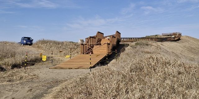 제주 신양 해안사구 모래언덕(정상부)에 조성 중인 데크