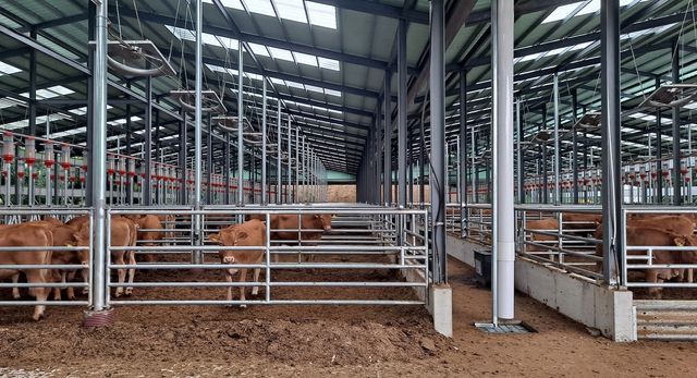 홍천군, 소규모 축사 분뇨 처리 지원