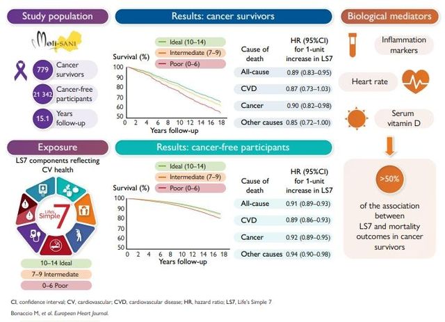 "심혈관 건강 위한 생활습관, 암 환자 생존율 개선 효과"