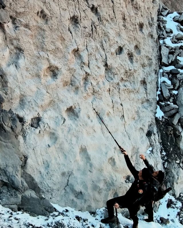 알프스에서 발견된 공룡 발자국 화석 