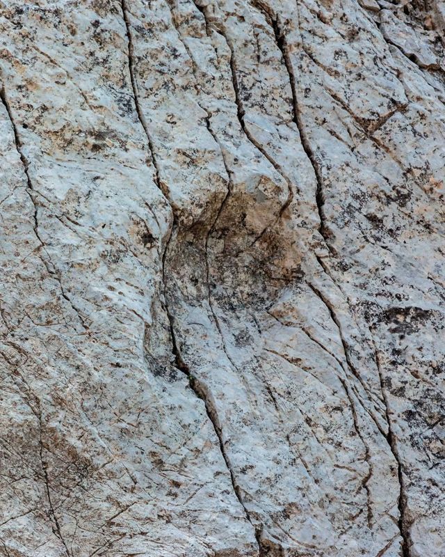 알프스에서 발견된 공룡 발자국 화석 