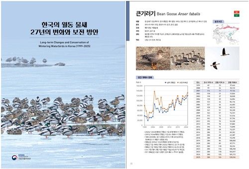 한국의 월동 물새 27년의 변화와 보전 방안 보고서. [국립생물자원관 제공. 재판매 및 DB 금지]