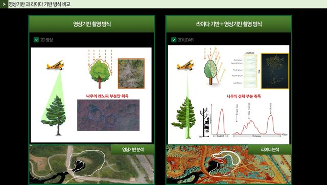 [한국임업진흥원 제공. 재판매 및 DB 금지]