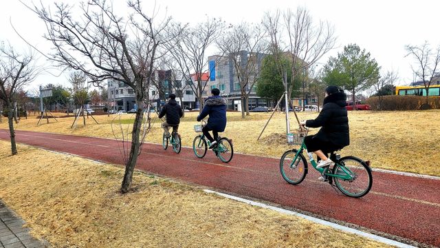 내포신도시 공영자전거 '내포씽'