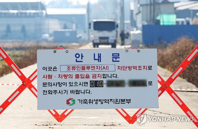 출입 통제되는 조류인플루엔자 발생 농가